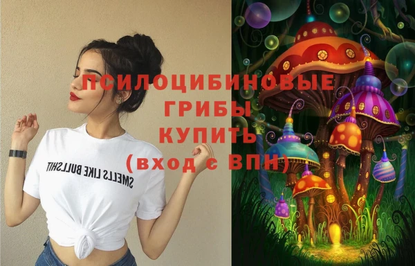 СК Алзамай