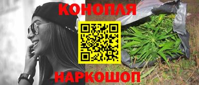 СК Волгодонск