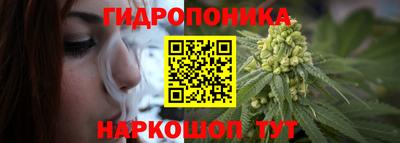 молекула духа Волжский