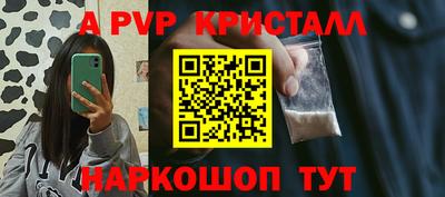 СК Волгодонск