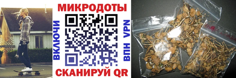 Галлюциногенные грибы Psilocybine cubensis  гидра tor  Заволжье 