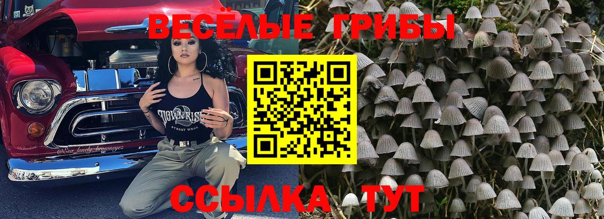 Псилоцибиновые грибы Cubensis  Галлюциногенные грибы GOLDEN TEACHER  Вход с VPN  Заволжье 